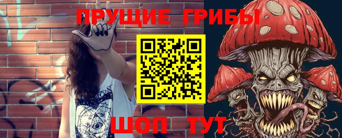 купить наркотик  Псилоцибиновые грибы MAGIC MUSHROOMS  Вход с VPN  Щёлково 